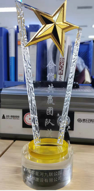 合作共贏團(tuán)隊(duì)獎.png